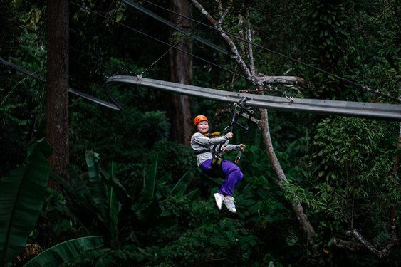 Ziplining Adventure